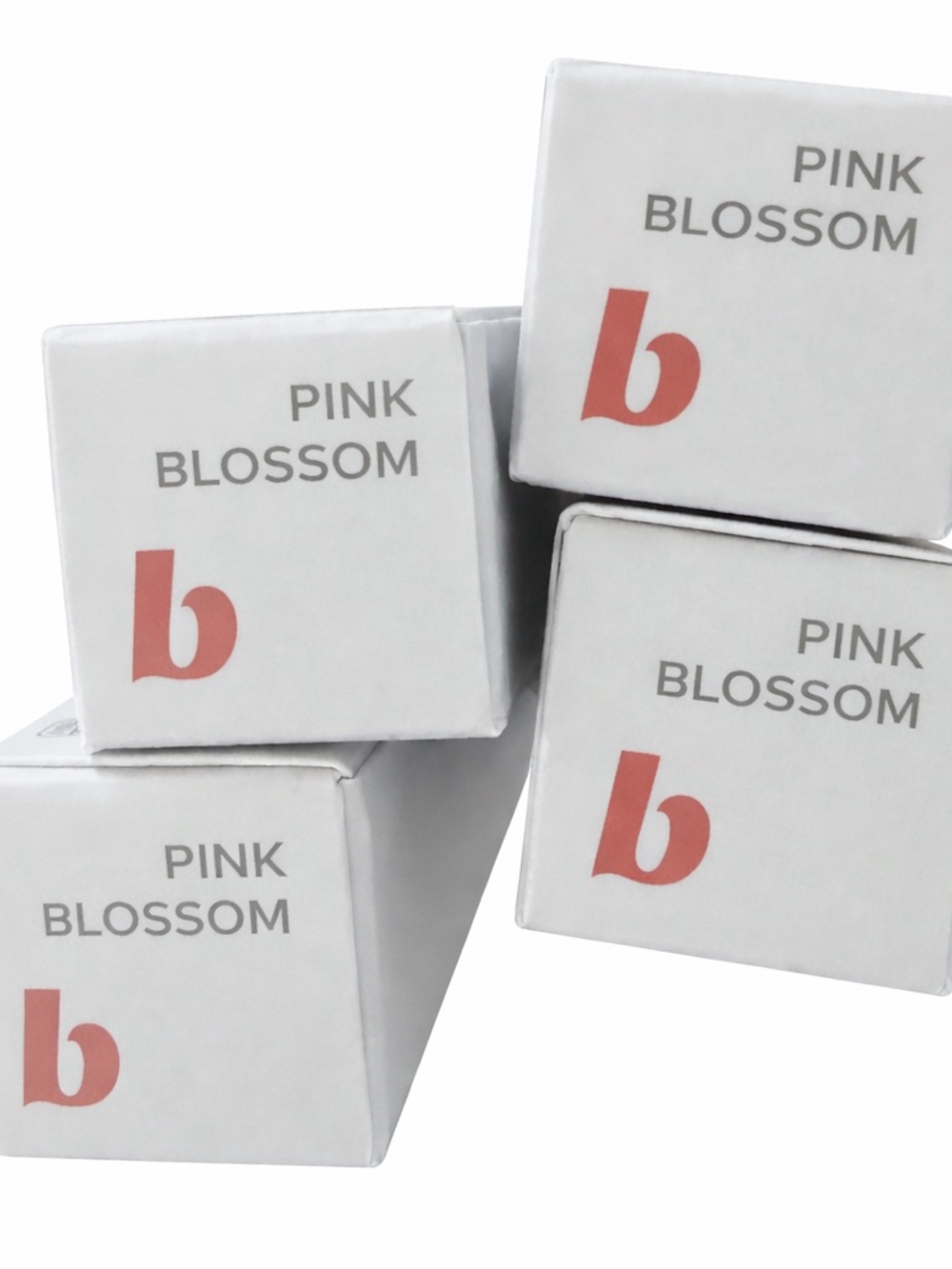 Steal! 🚨BeautyCounter BUNDLE of 4 Pink Blossom Lip Liner
